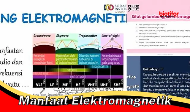 manfaat elektromagnetik