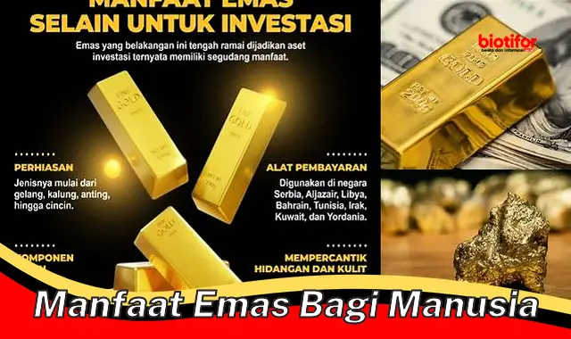 manfaat emas bagi manusia