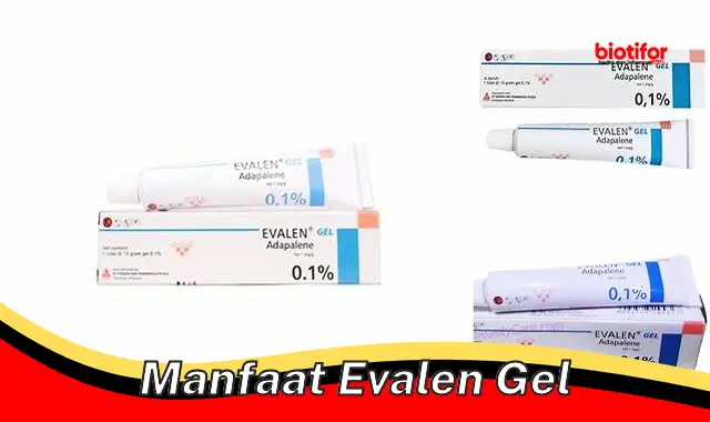 5 Manfaat Evalen Gel yang Jarang Diketahui