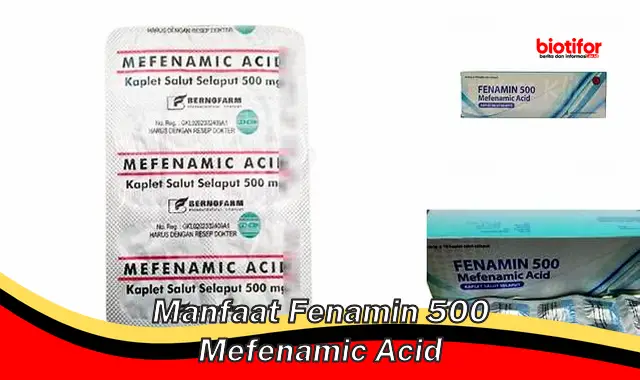 manfaat fenamin 500 mefenamic acid