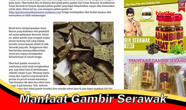 Temukan Manfaat Gambir Serawak yang Jarang Diketahui