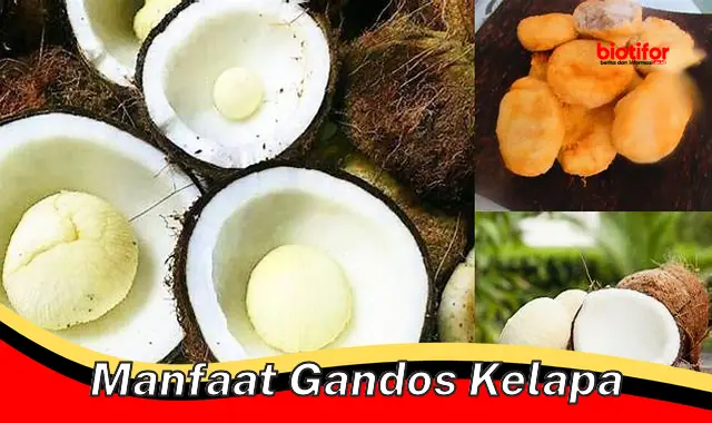 manfaat gandos kelapa