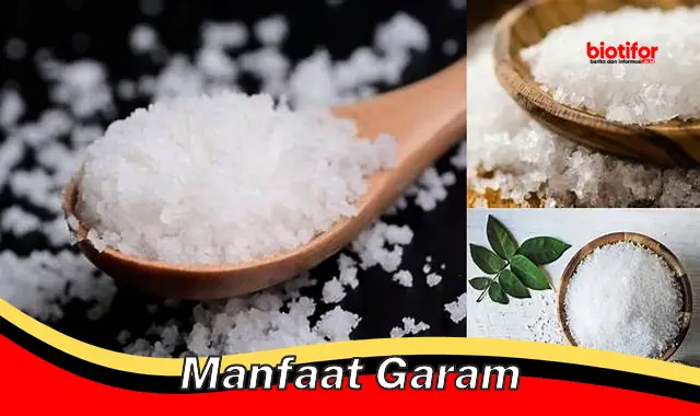 manfaat garam