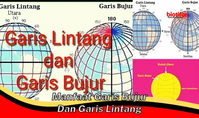 Temukan Manfaat Garis Bujur dan Garis Lintang yang Jarang Diketahui