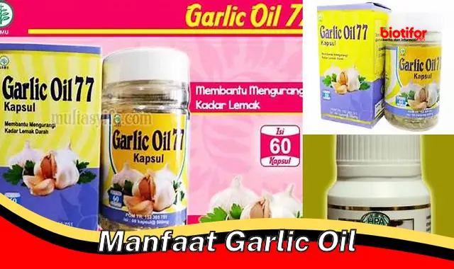 manfaat garlic oil