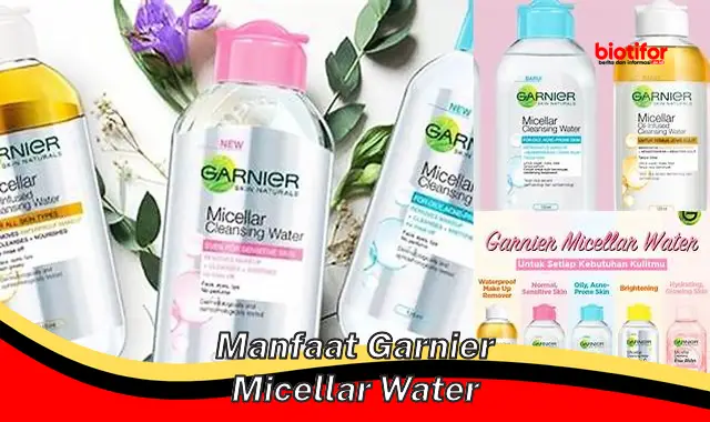 manfaat garnier micellar water