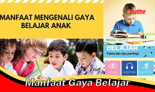 manfaat gaya belajar