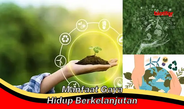 manfaat gaya hidup berkelanjutan