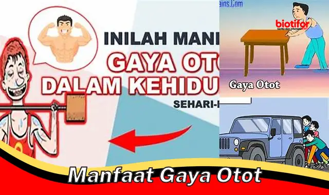 manfaat gaya otot