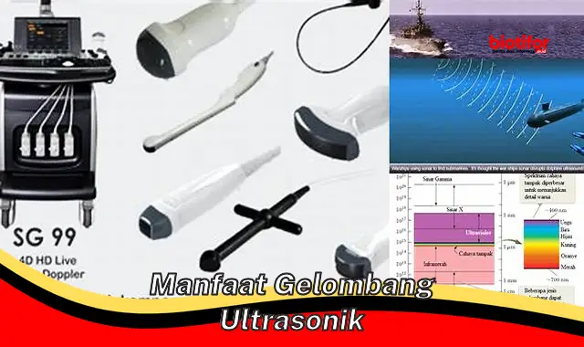 manfaat gelombang ultrasonik