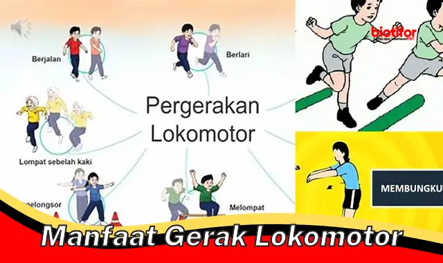 manfaat gerak lokomotor