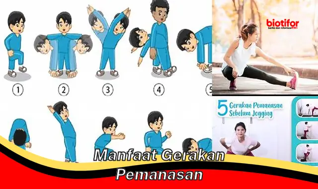 Temukan Manfaat Gerakan Pemanasan yang Belum Diketahui - Biotifor