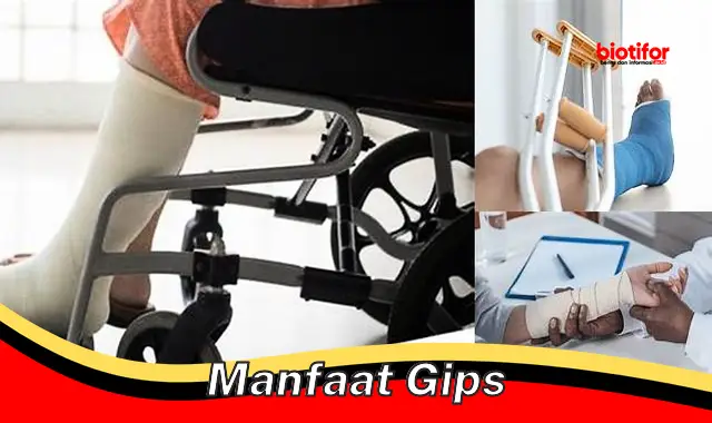 manfaat gips