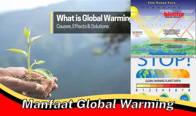 manfaat global warming