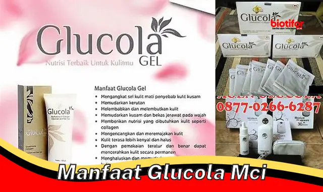 Manfaat Glucola MCI yang Menanti Anda