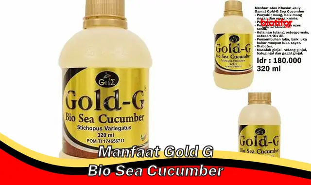 manfaat gold g bio sea cucumber