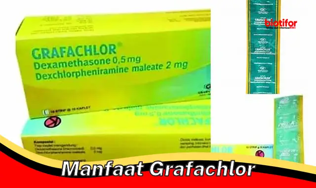 Temukan 5 Manfaat Grafachlor Jarang Diketahui Yang Perlu Anda Ketahui