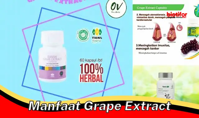 manfaat grape extract