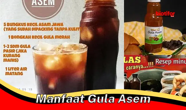 manfaat gula asem