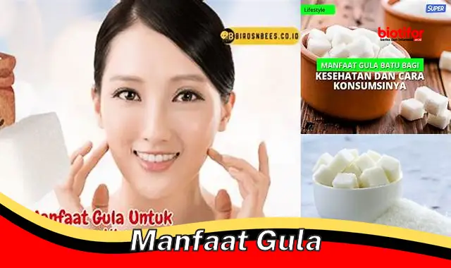 manfaat gula