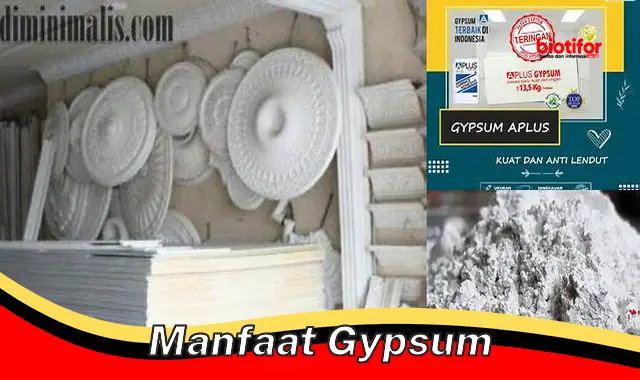 manfaat gypsum