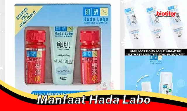 manfaat hada labo