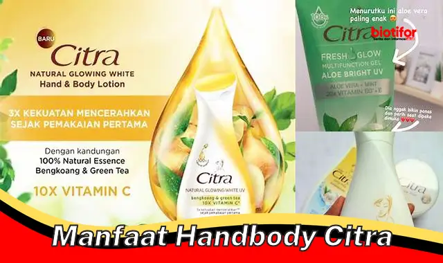 manfaat handbody citra