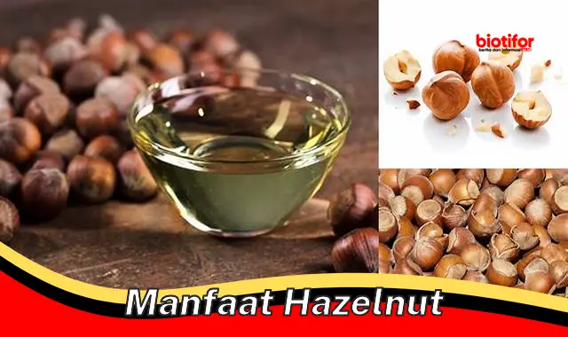 manfaat hazelnut