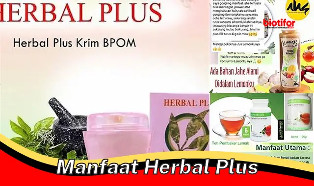 manfaat herbal plus