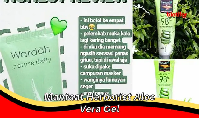 manfaat herborist aloe vera gel