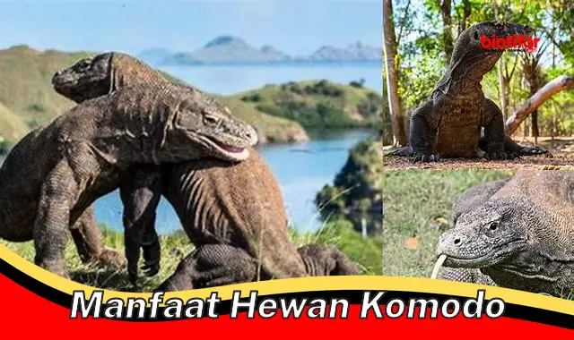 manfaat hewan komodo