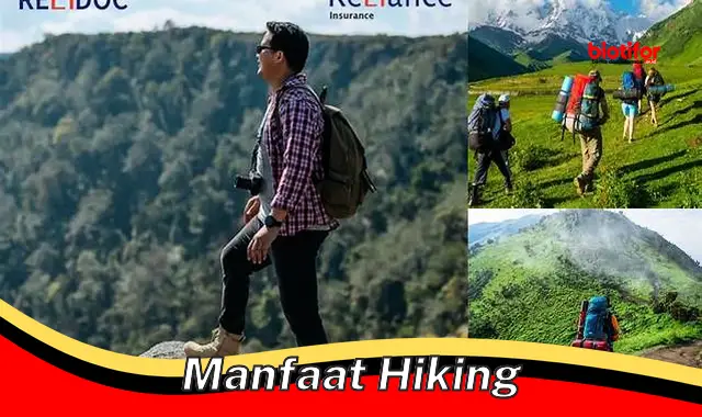 manfaat hiking