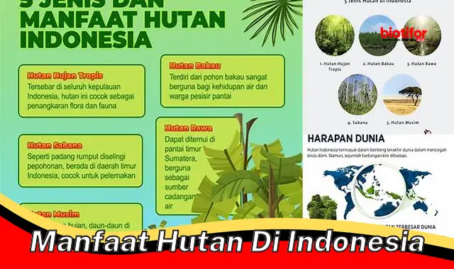 Temukan 5 Manfaat Hutan di Indonesia yang Perlu Diketahui