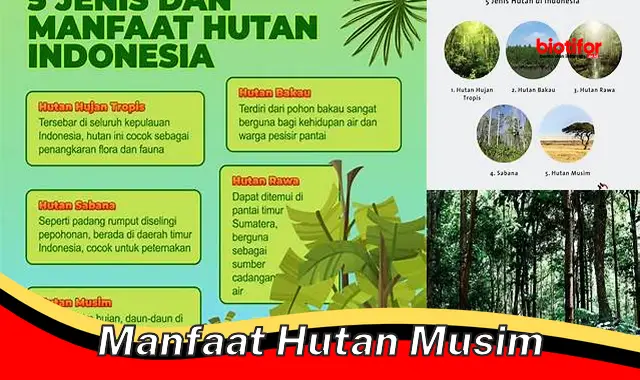 manfaat hutan musim