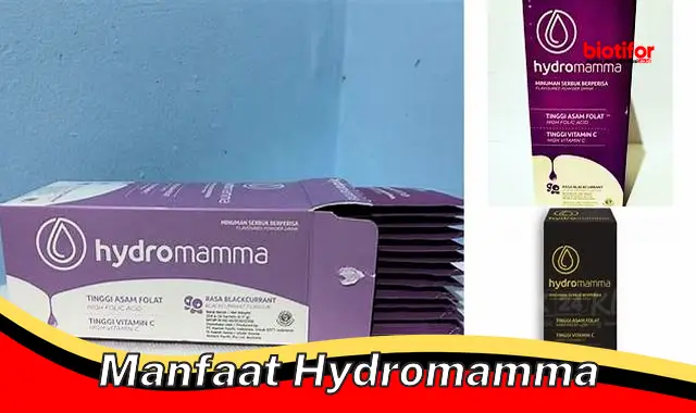 Temukan Manfaat Hydromamma yang Perlu Anda Ketahui