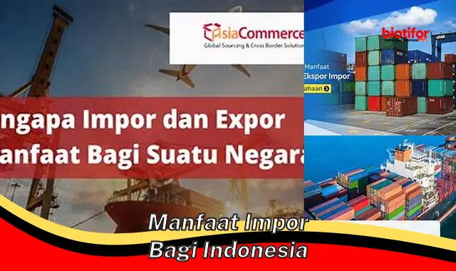 manfaat impor bagi indonesia