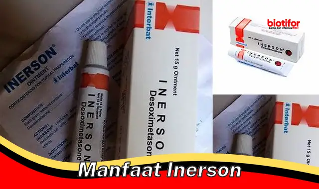 manfaat inerson