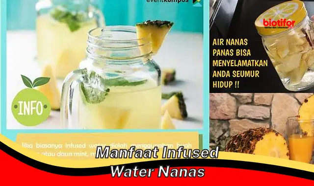 manfaat infused water nanas