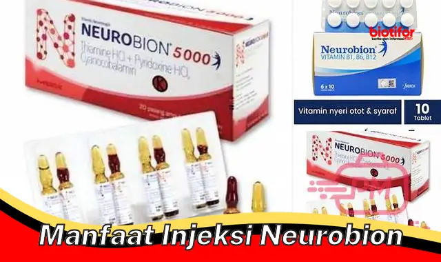 manfaat injeksi neurobion