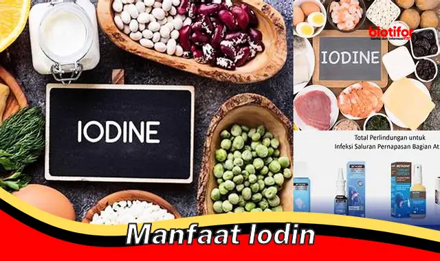 manfaat iodin