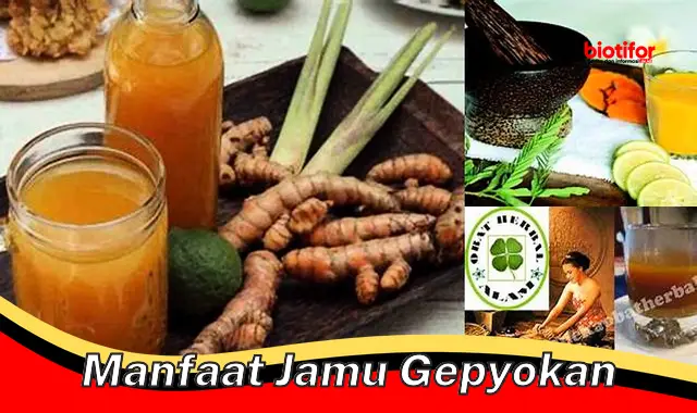 manfaat jamu gepyokan