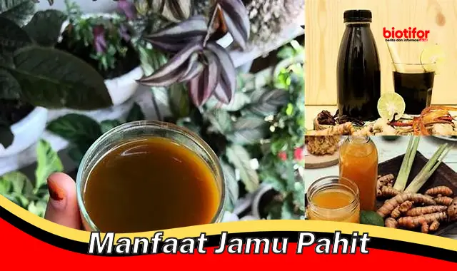 Temukan 5 Manfaat Jamu Pahit yang Jarang Diketahui