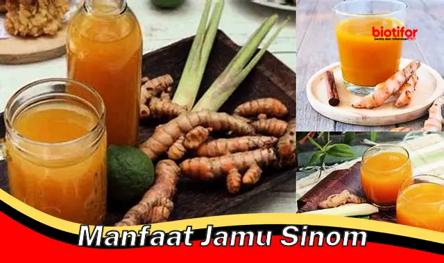 Temukan Khasiat Jamu Sinom yang Jarang Diketahui! - Biotifor