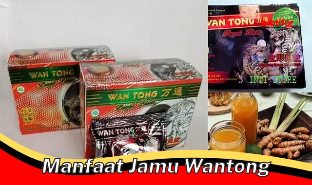 Temukan Manfaat Jamu Wantong yang Jarang Diketahui