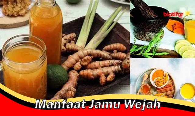 manfaat jamu wejah