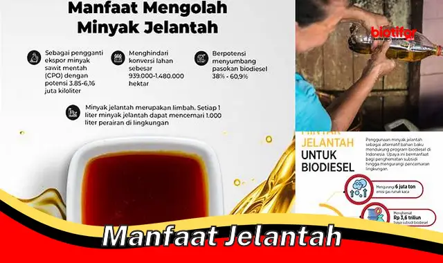 manfaat jelantah