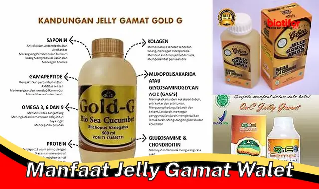 manfaat jelly gamat walet