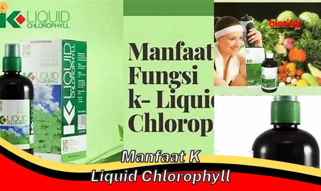 manfaat k liquid chlorophyll