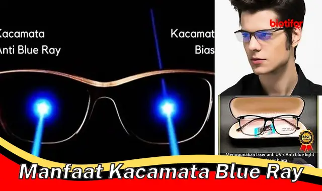 Temukan 5 Manfaat Kacamata Blue Ray yang Perlu Diketahui