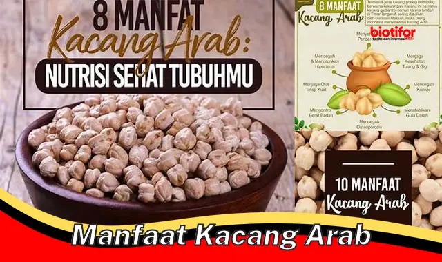 manfaat kacang arab